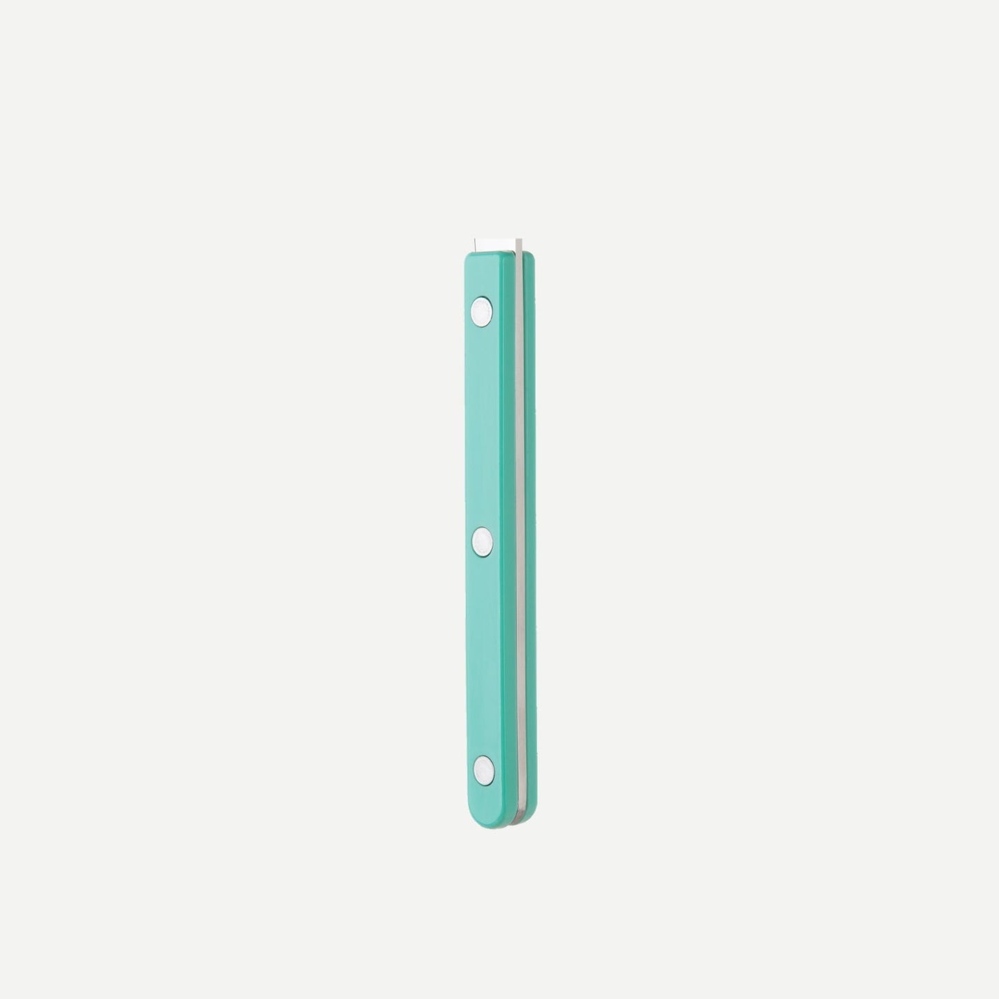 Sabre Paris- Bistrot Unifarben 3-teiliges Besteckset -Pastel green