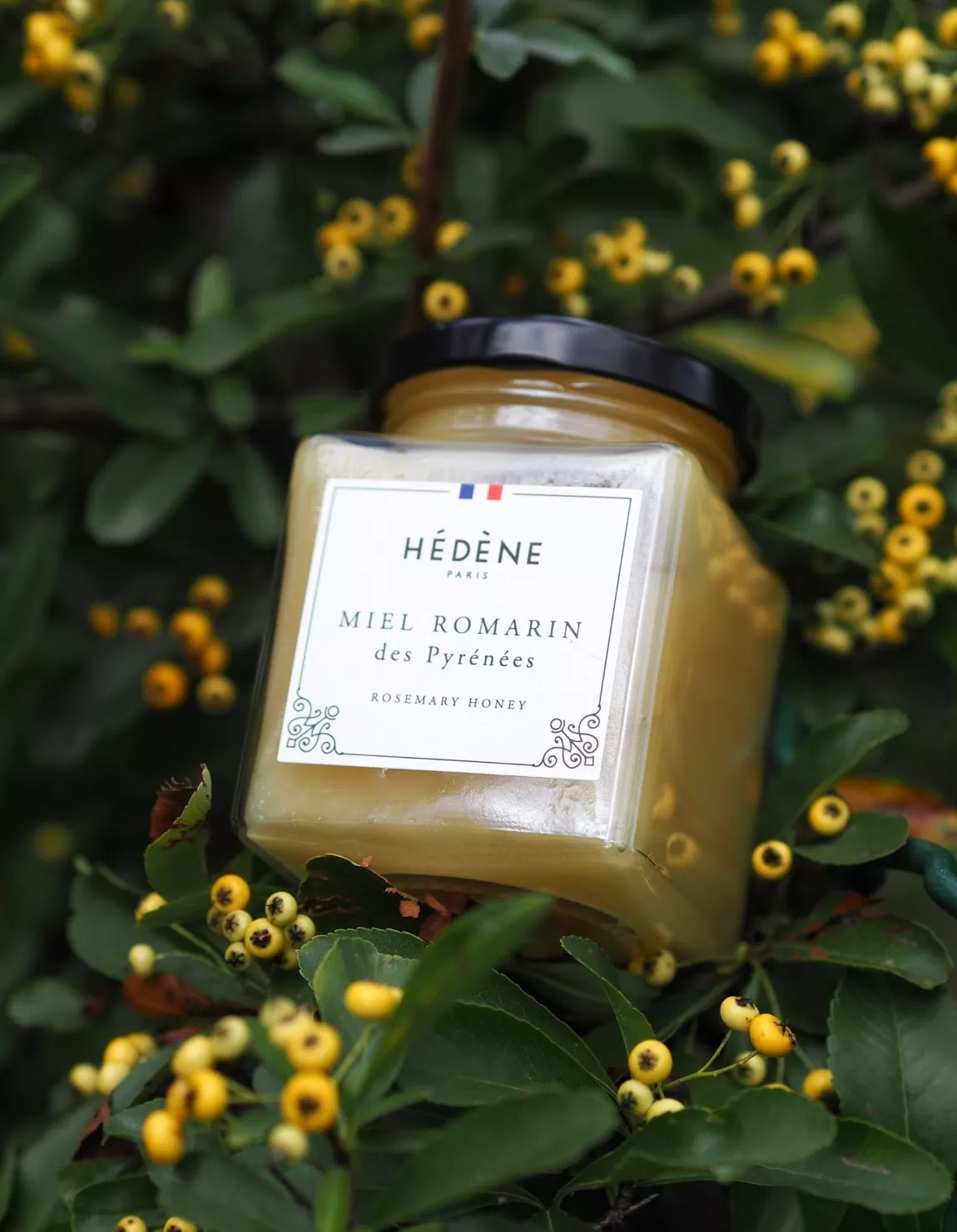 Hédène – Pyrenäen-Rosmarinhonig - 250 g