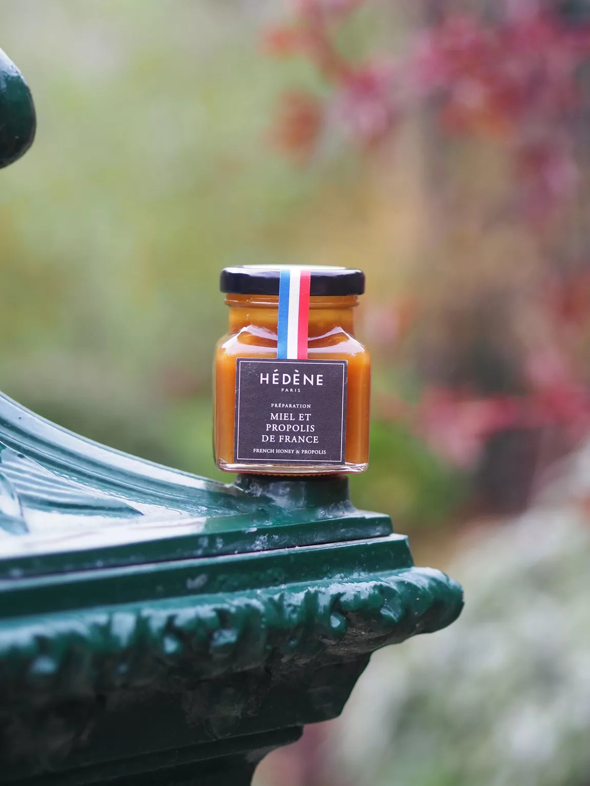 Hédène – Kastanienhonig mit Propolis