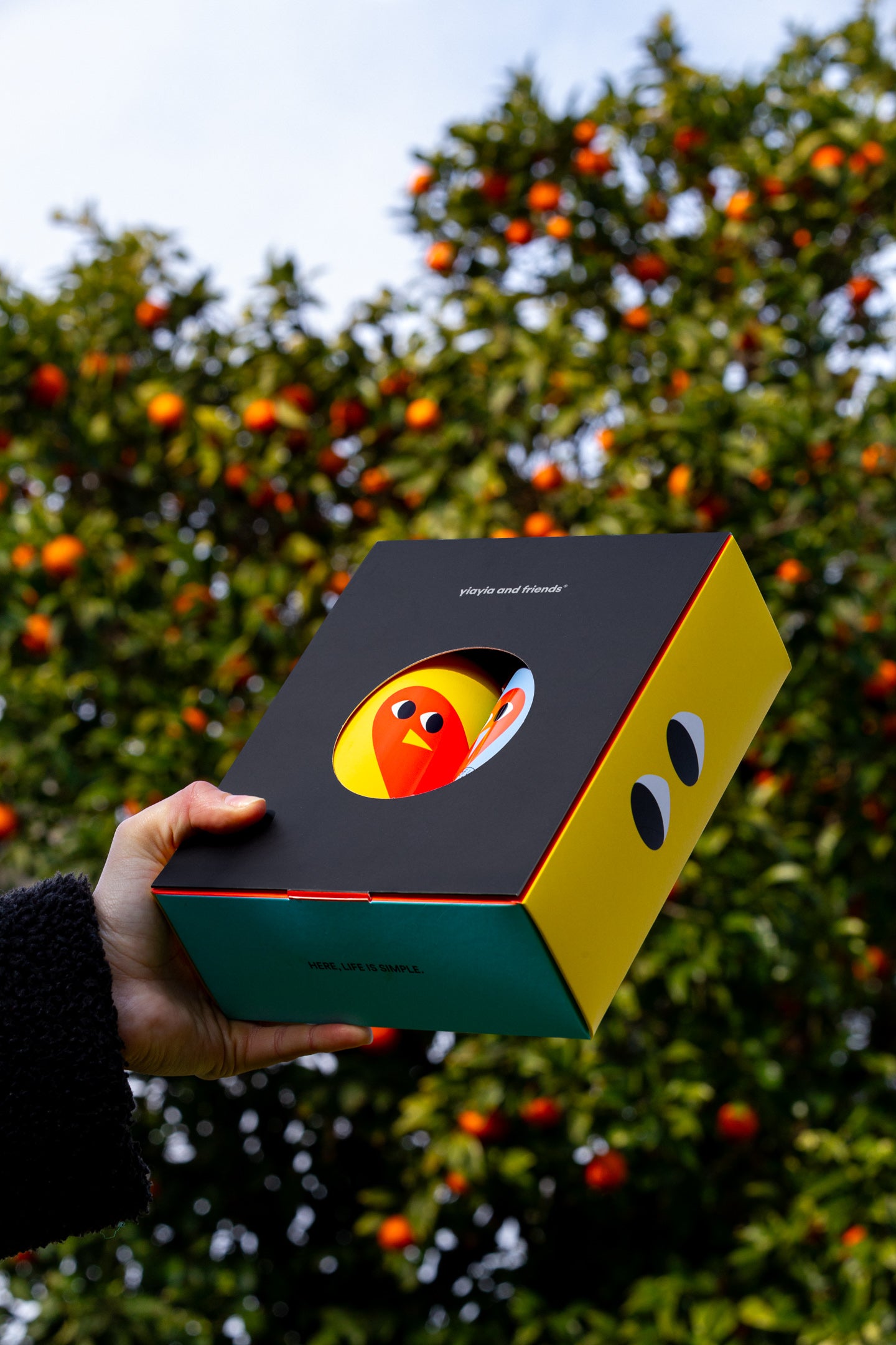 YIAYIA & FRIENDS Extra virgin olive oil – Harvest of Love 500 ml x2